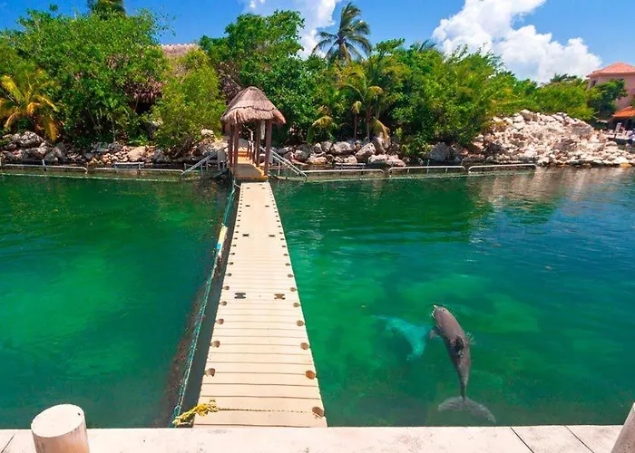 Departamento Cerca Del Mar En #105 Apartment Puerto Aventuras